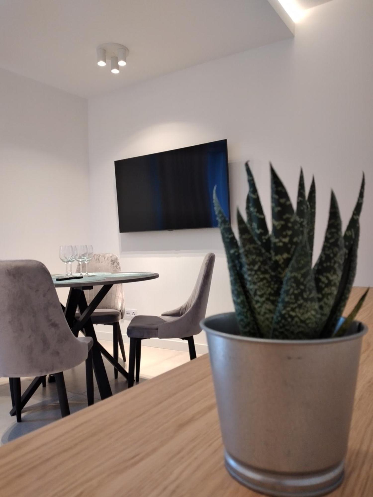 Apartament Zrodlana Ski 300M ชเวียราโดว์-สโดรยจ์ ภายนอก รูปภาพ